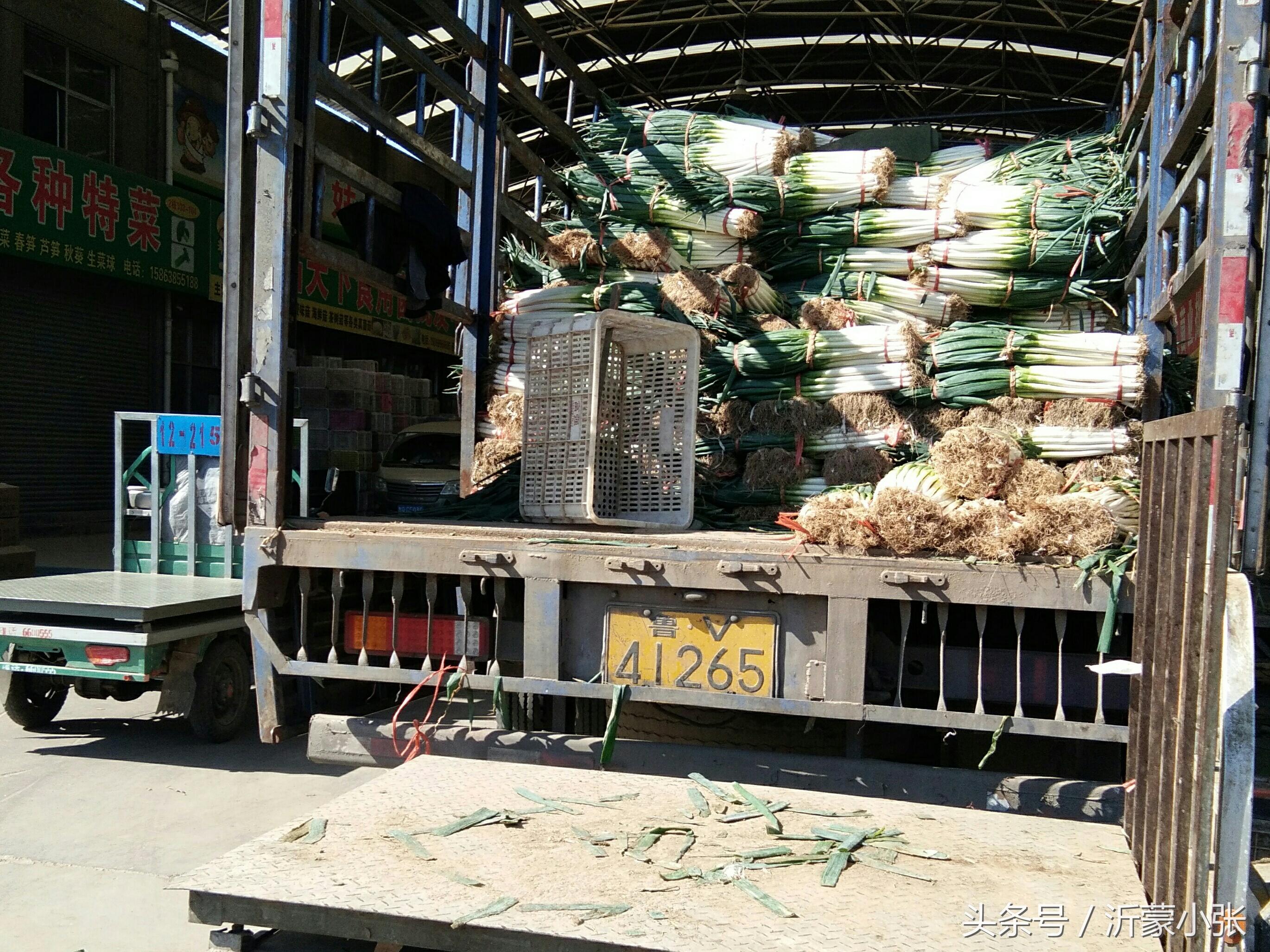 临沂最大的蔬菜批发市场,罗庄区罗东农产品市场简介